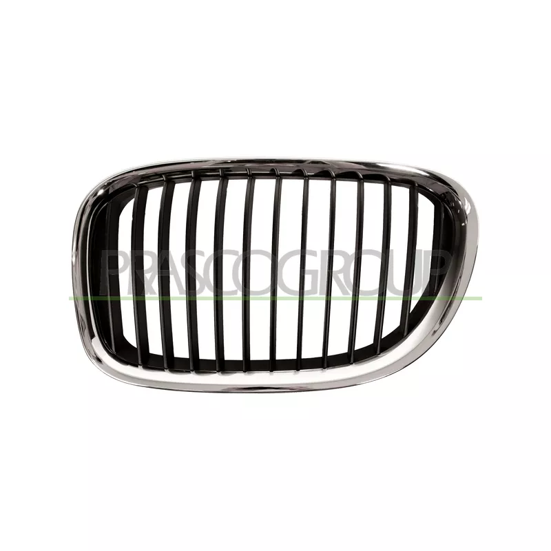 Grille de radiateur PRASCO BM1012004