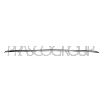 Baguette et bande protectrice, pare-chocs PRASCO BM1021255