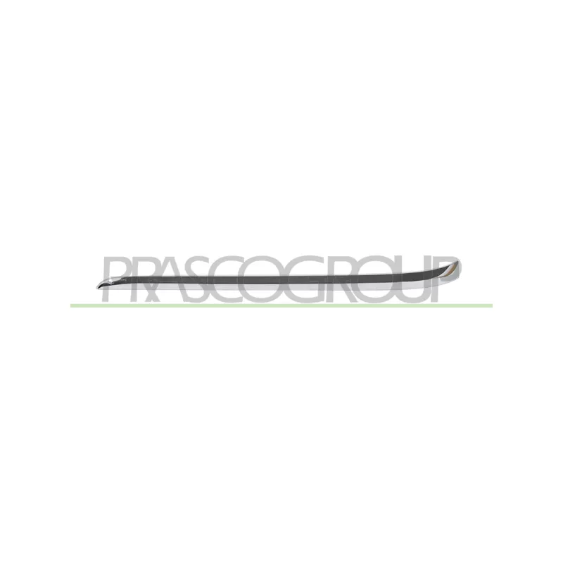Baguette et bande protectrice, pare-chocs arrière droit PRASCO BM1061253