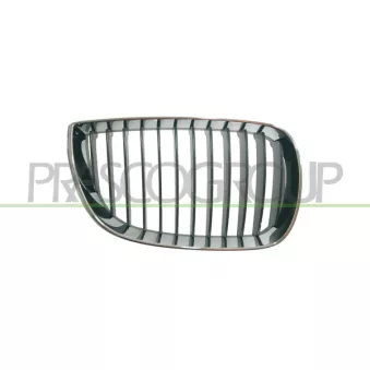 Grille de radiateur avant droit PRASCO BM1202003