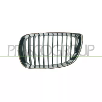 Grille de radiateur avant gauche PRASCO BM1202004