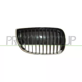 Grille de radiateur avant gauche PRASCO BM1202014