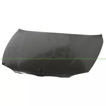 Capot-moteur PRASCO BM1203100