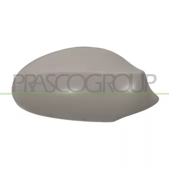 Revêtement, rétroviseur extérieur PRASCO BM1207403