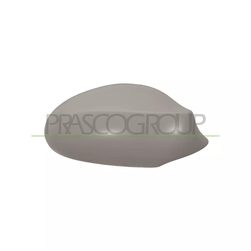 Revêtement, rétroviseur extérieur PRASCO BM1207403