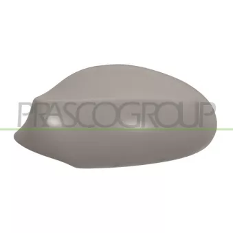 Revêtement, rétroviseur extérieur PRASCO BM1207404