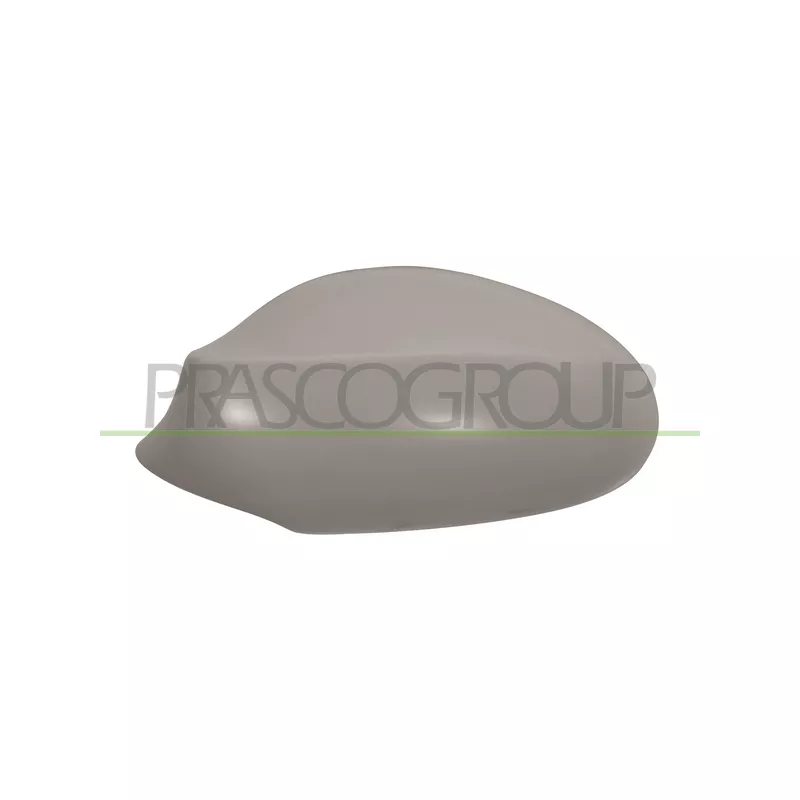 Revêtement, rétroviseur extérieur PRASCO BM1207404