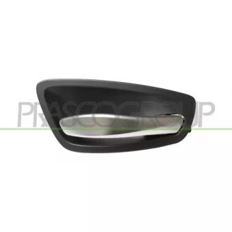 Poignet de porte, équipment intérieur avant droit PRASCO BM1208401