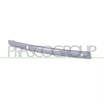 Baguette et bande protectrice, pare-chocs avant gauche PRASCO BM1211232