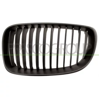 Grille de radiateur PRASCO BM1212014