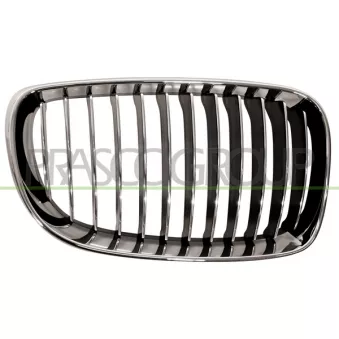 Grille de radiateur PRASCO BM1212023