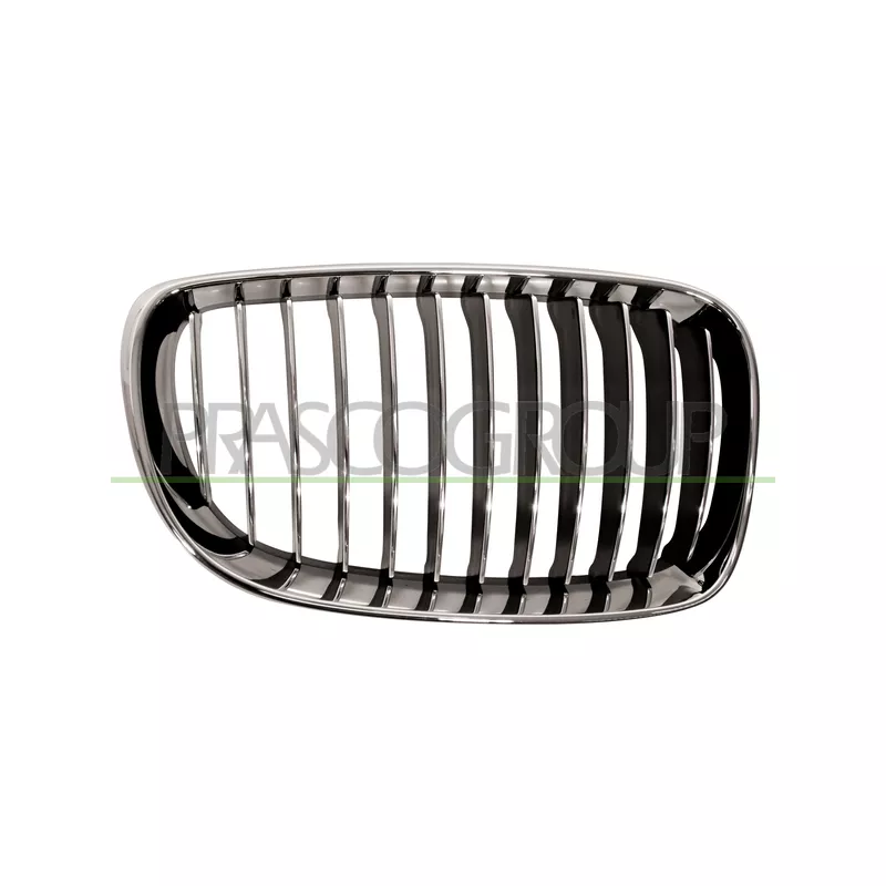 Grille de radiateur PRASCO BM1212023