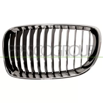 Grille de radiateur PRASCO BM1212024
