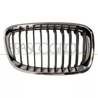 Grille de radiateur PRASCO BM1232003