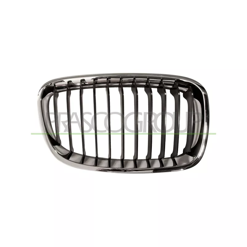 Grille de radiateur PRASCO BM1232003