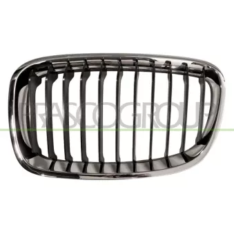Grille de radiateur PRASCO BM1232004