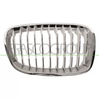 Grille de radiateur PRASCO BM1232013