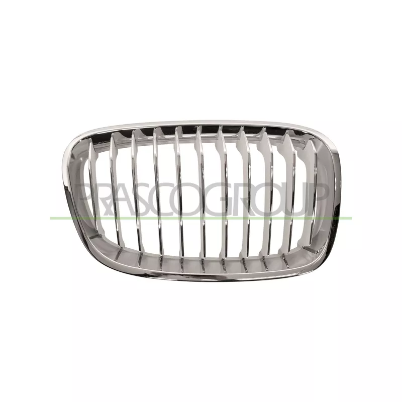 Grille de radiateur PRASCO BM1232013