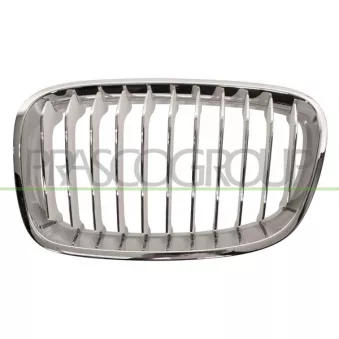 Grille de radiateur PRASCO BM1232014