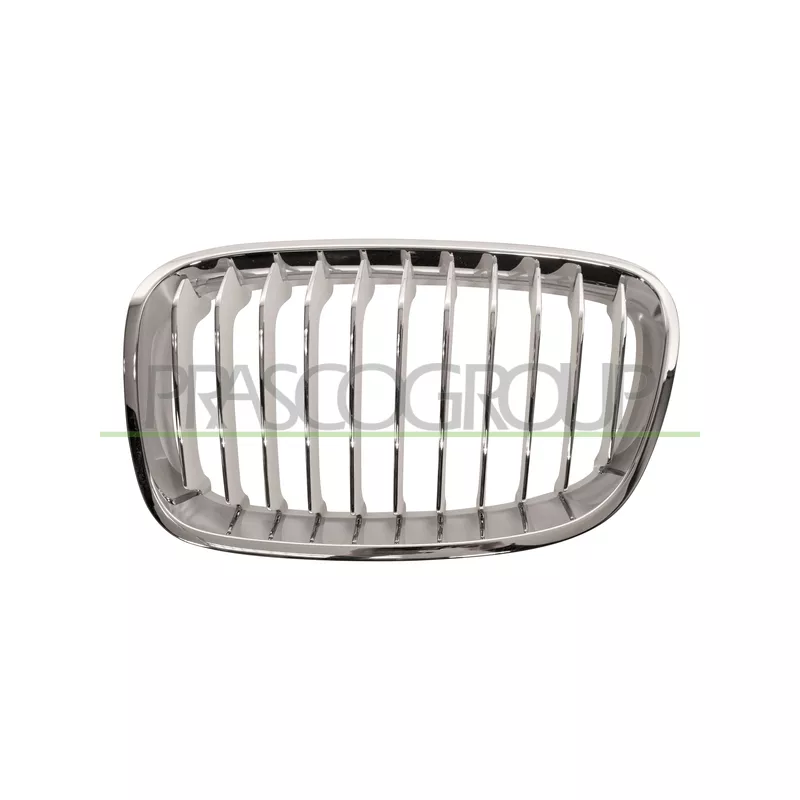 Grille de radiateur PRASCO BM1232014