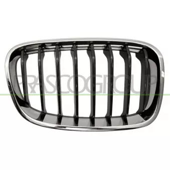Grille de radiateur PRASCO BM1232023