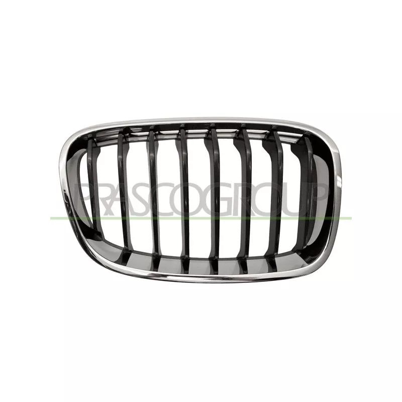 Grille de radiateur PRASCO BM1232023