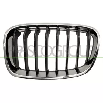 Grille de radiateur PRASCO BM1232024