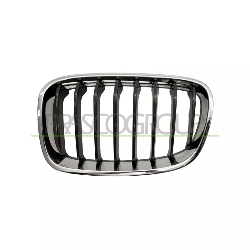 Grille de radiateur PRASCO BM1232024