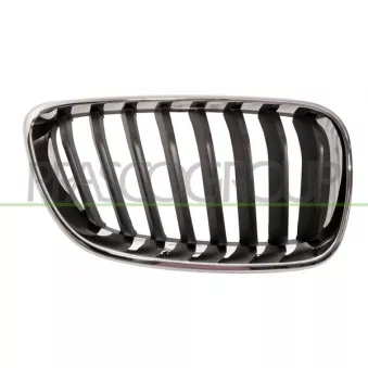 Grille de radiateur PRASCO BM2502003