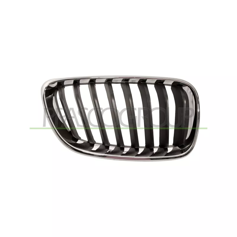 Grille de radiateur PRASCO BM2502003