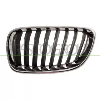 Grille de radiateur PRASCO BM2502004
