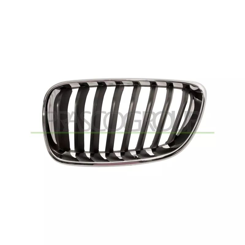Grille de radiateur PRASCO BM2502004