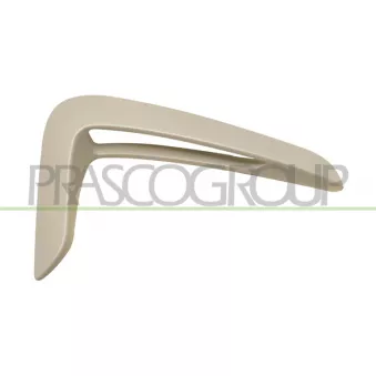Baguette et bande protectrice, aile avant droit PRASCO BM3901403