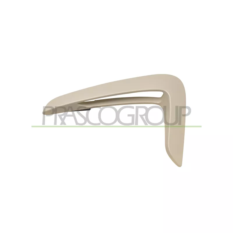 Baguette et bande protectrice, aile avant gauche PRASCO BM3901404