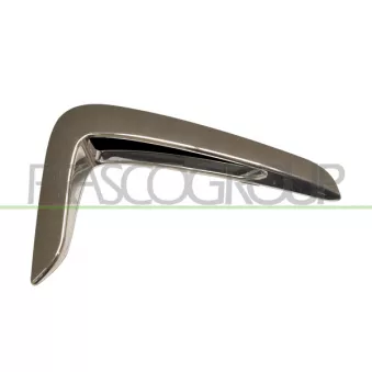 Baguette et bande protectrice, aile avant droit PRASCO BM3901413