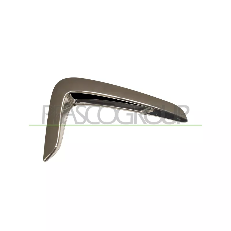 Baguette et bande protectrice, aile avant droit PRASCO BM3901413