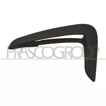Baguette et bande protectrice, aile avant gauche PRASCO BM3901424