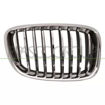 Grille de radiateur PRASCO BM5002003