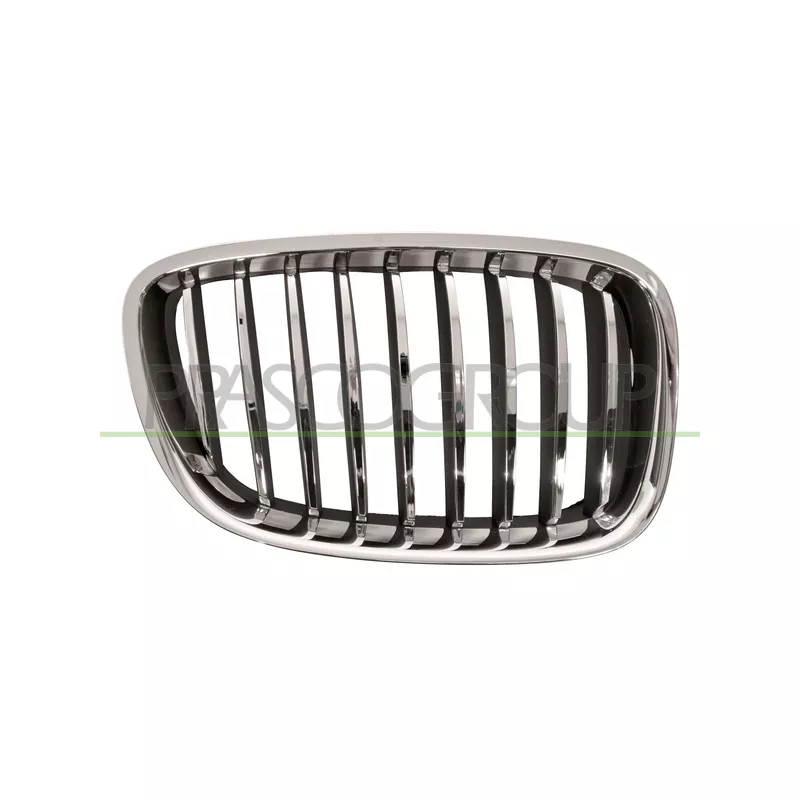 Grille de radiateur PRASCO BM5002003