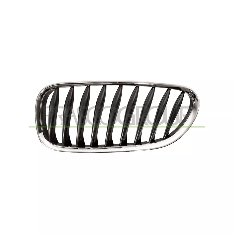 Grille de radiateur PRASCO BM6242004