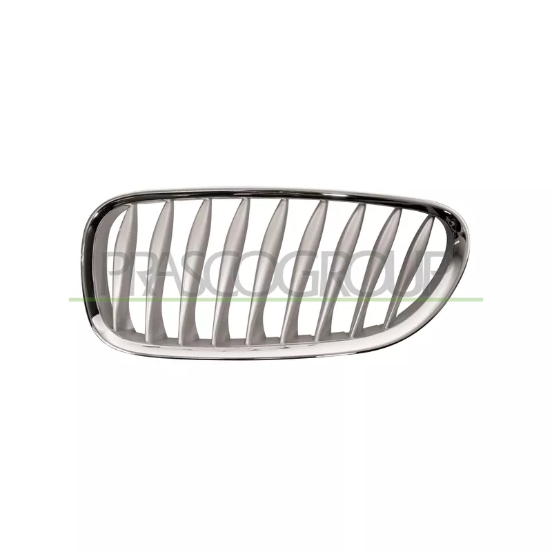 Grille de radiateur PRASCO BM6242014