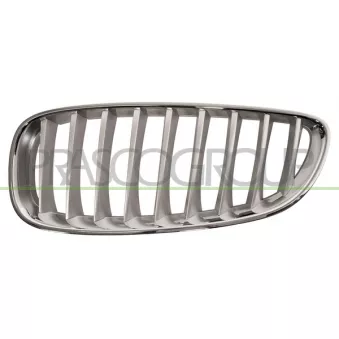Grille de radiateur PRASCO BM6282014