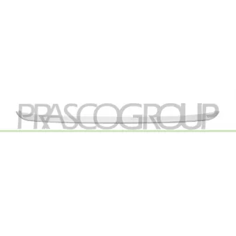 Baguette et bande protectrice, grille de radiateur PRASCO BM7021245