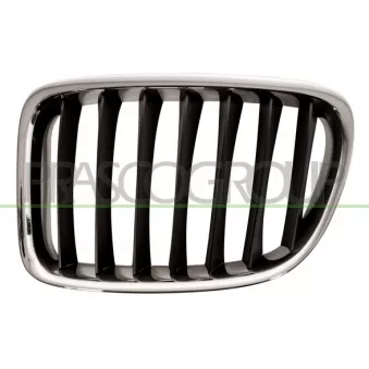 Grille de radiateur PRASCO BM7022024