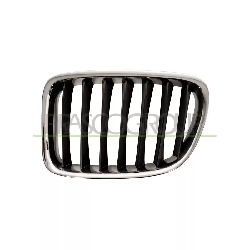 Grille de radiateur PRASCO BM7022024