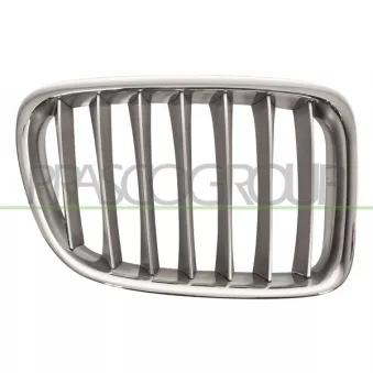Grille de radiateur PRASCO BM7022033