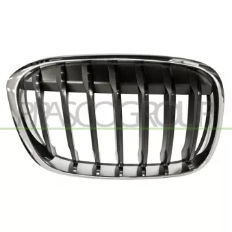 Grille de radiateur avant droit PRASCO BM7062003