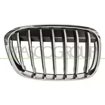 Grille de radiateur avant droit PRASCO BM7062013
