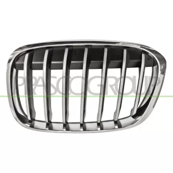 Grille de radiateur avant gauche PRASCO BM7062014