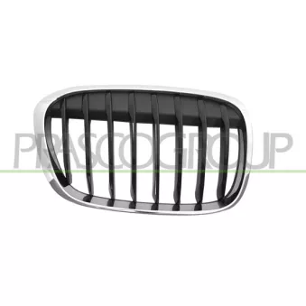 Grille de radiateur PRASCO BM7072013